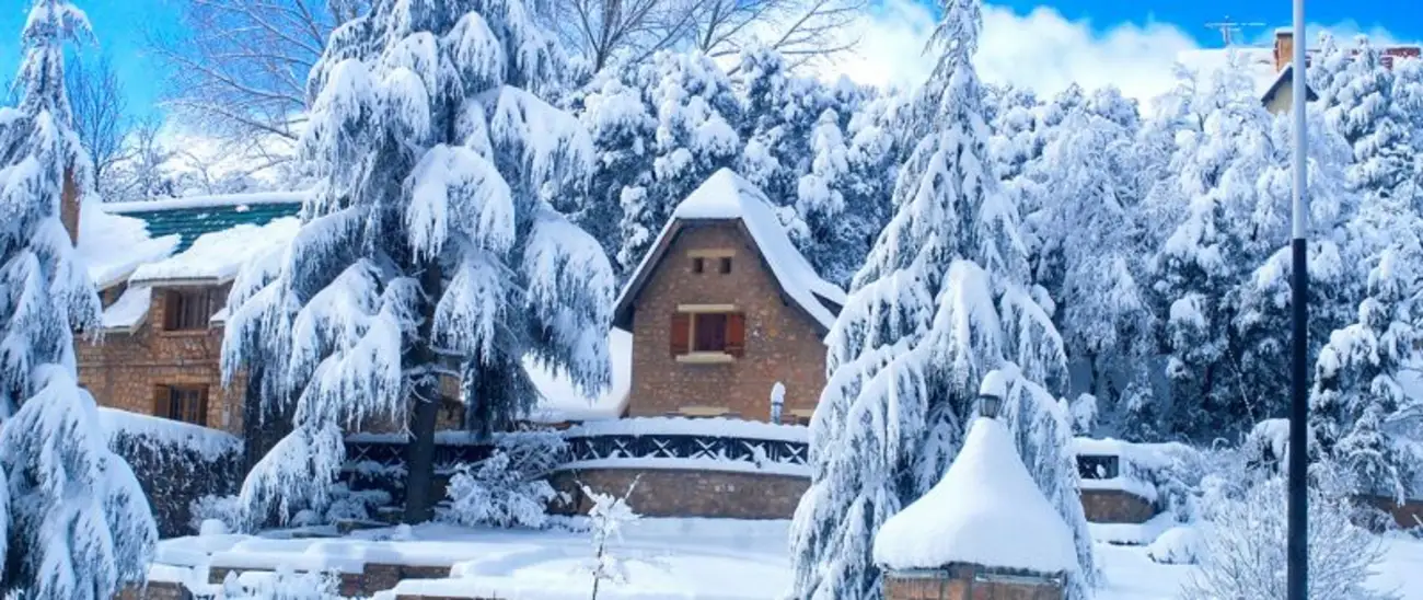 Discover Ifrane City: Where Morocco Meets The Swiss Alps